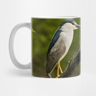 Black-Crowned Night Heron Mug